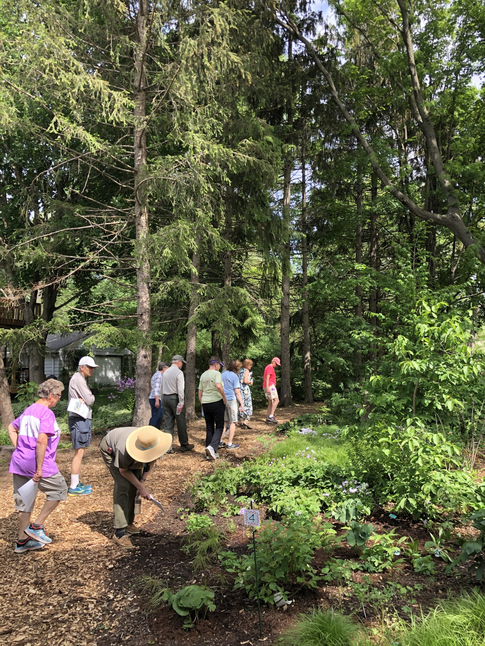 Garden Walk at the Property of Dennis Dreher